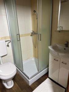 a bathroom with a shower and a toilet and a sink at Guest House Anna Caffe in Bezdan +49 photos