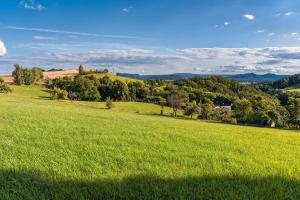 Příroda nedaleko prázdninového domu