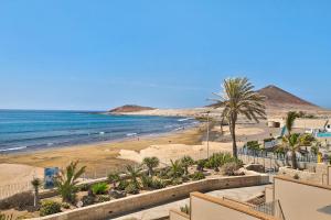 een strand met palmbomen en de oceaan bij Casa Médano 19 By Médano Rentals in El Médano