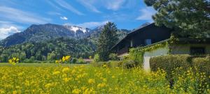 格拉绍Ferienwohnung 3的山地花田中的房屋