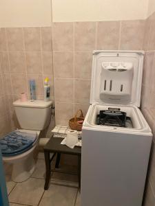 baño pequeño con nevera y aseo en Chalet de l'Ardoisière, en Saint-Colomban-des-Villards