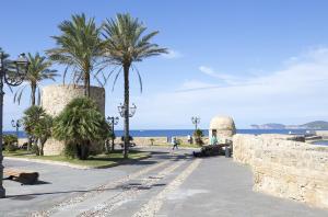 a street with palm trees and a wall and the ocean at Thomas' House in Alghero
