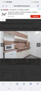 Η κουζίνα ή μικρή κουζίνα στο Ibolya wellness Hajdúszoboszló