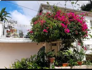 a balcony with pink flowers on a house at Kaz'Eliz in Le Tampon