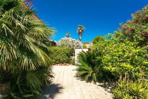 a garden with palm trees and a palm tree at Casa Solidea in San Teodoro