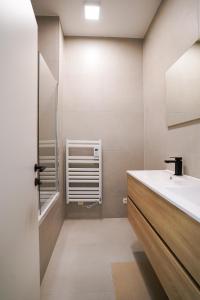 ブリュッセルにあるAppartment Wayez 3の洗面台とシャワー付きのバスルーム