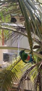 Billede fra billedgalleriet på Sumanguru Airport Studios i Busumbala