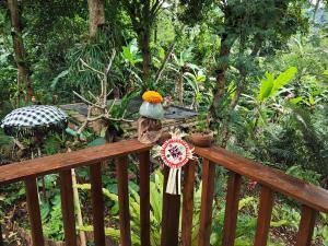 Κήπος έξω από το Pondok kepundung +5 φωτογραφίες