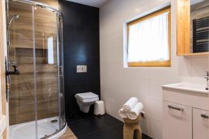 a bathroom with a shower and a toilet and a sink at Domek Babcynówka in Zakopane