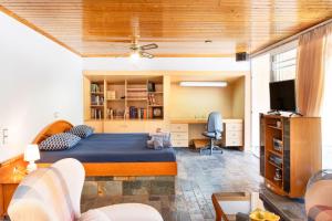 Una televisión o centro de entretenimiento en Villa Sterna