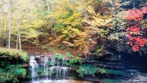 a painting of a waterfall in a forest at The Loft at Old Falls in Primm Springs