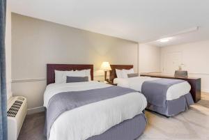 ブルー・アッシュにあるThe Blu Hotel Blue Ash Cincinnati, an Ascend Collection Hotelのベッド2台と机があるホテルの部屋 +32枚の写真