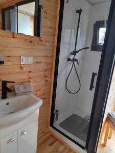 a bathroom with a shower with a sink and a toilet at Hausboot Am See in Rieth