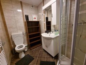 ein Badezimmer mit Toilette, Waschbecken und Dusche in der Unterkunft Apartment Rogla Residence in Vitanje + 15 Fotos