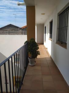 チクラナ・デ・ラ・フロンテーラにあるChiclana Bahía D´or Plazaの鉢植えの家のバルコニー