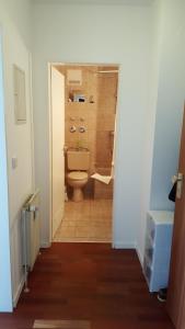 a bathroom with a toilet and a shower at 146 Casafante in Regensburg