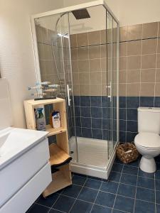 een badkamer met douche en toilet bij Villa les Mésanges 5 min from the beaches in Vaux-sur-Mer +43 foto's