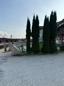 een groep bomen voor een gebouw bij Mimi Apartment in Veľký Slavkov