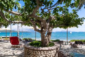 a tree in a stone planter next to the beach at M2 room in Nikiana