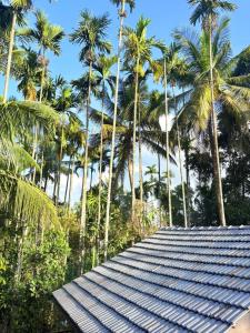 Zahrada ubytování sahara dua jungle farmstay