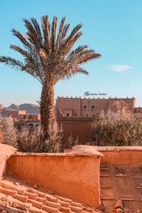 Příroda nedaleko hotelu