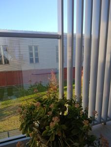 a potted plant sitting in front of a window at Studio Apartman Dalma in Ðakovo
