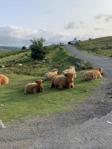 Fotografie z fotogalerie ubytování Delightful Dartmoor Apartment v destinaci Two Bridges