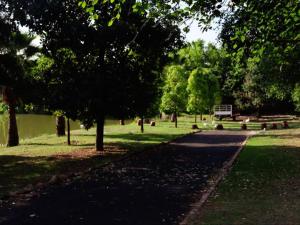 un chemin dans un parc planté d'arbres et d'herbe dans l'établissement The Nugget Guest Lodge, à Kempton Park