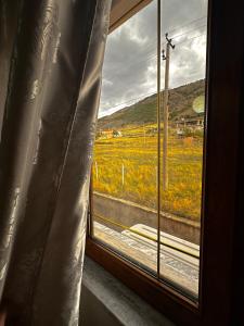 a window with a view of a field of flowers at Twins in Korçë