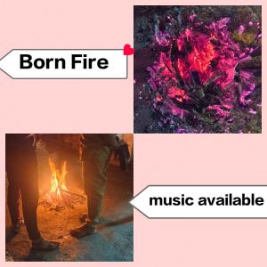 Fotografie z fotogalerie ubytování Southeastern luxury homestay v destinaci Yercaud