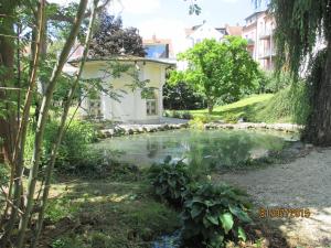 einen Teich im Hof eines Hauses in der Unterkunft 146 Casafante in Regensburg