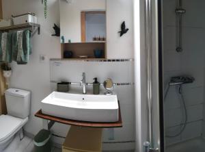 a bathroom with a sink and a toilet and a shower at La Suite 27 bis, maison de charme avec terrasse, proche gare et centre in Guingamp +13 photos