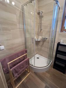 a bathroom with a shower with a glass shower stall at Apartamenty Studzienna in Inowrocław