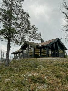 a house on top of a hill with a tree at Ål Cabin With Views Of Marshland And Mountains in Haglebu
