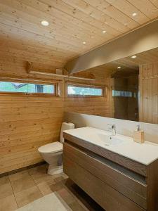 a bathroom with a sink and a toilet in a room at Ål Cabin With Views Of Marshland And Mountains in Haglebu