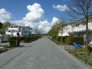 ビンツにあるHaus Frohsinn - Wohnung 7の家々が立ち並ぶ通りと歩道に青い犬がいる