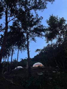 Příroda nedaleko luxury tent