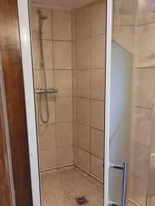 SablièresにあるLa Jeannetteのガラスドア付きのシャワー付きのバスルーム