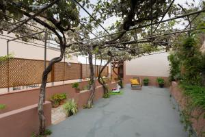 a courtyard with a bench and trees in a building at Casa en El Campo in Tacoronte