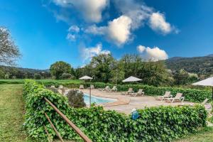 a pool with chairs and umbrellas in a garden at Mas Tarres L'olivera Madremanya in Madremanya