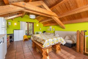 a large room with a bed and a kitchen at Casa Pirinea in Belsierre +14 photos