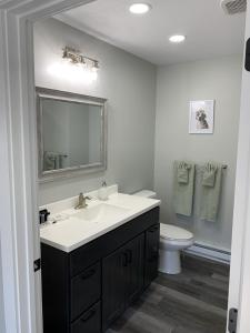 a bathroom with a sink and a toilet and a mirror at The Fallviews at Burdett Falls in Burdett