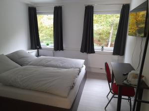 een slaapkamer met een bed en een bureau en twee ramen bij Boardinghaus Waldesruh in Lohne