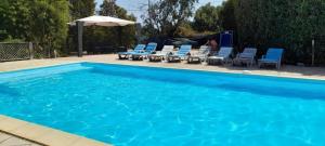 - une piscine bleue avec des chaises et un parasol dans l'établissement Villa Via Ferrata, à Canale-di-Verde