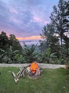 a fire pit in the grass with a view at Eco Domes Couples Getaway - Waterfall and Mountain Views in Jarabacoa