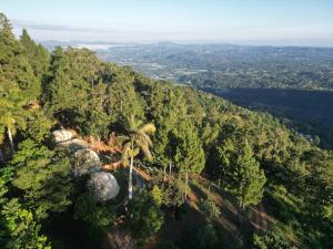 an aerial view of a forest with rocks and trees at Eco Domes Couples Getaway - Waterfall and Mountain Views in Jarabacoa