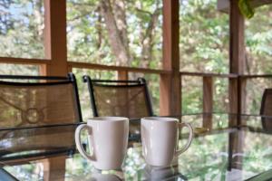 Fotografie z fotogalerie ubytování Baldknobber Ridge Escape - West Branson Cabin v destinaci Branson West + 17 fotografií