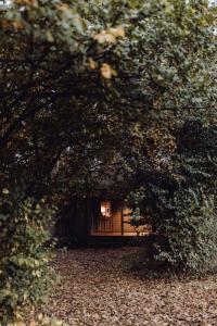 uma pequena cabana na floresta através das árvores em For-Rest Lodge em Broekhuizen