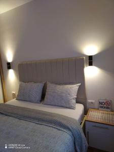 a bedroom with a bed with two blue pillows at Apartment "Splendid J&R" in Bijeljina