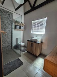 a bathroom with a shower with a toilet and a sink at atnine in Welkom